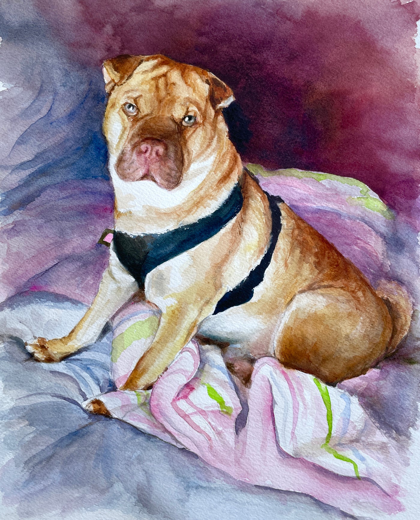 Dog portrait- watercolor