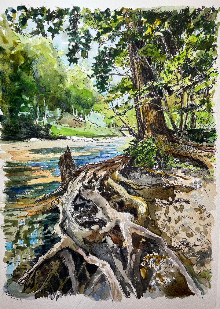 Discount Tree Picture Watercolor Painting Original